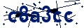 Beveiligingscode