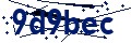 Beveiligingscode