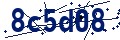 Beveiligingscode