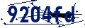 Beveiligingscode