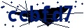 Beveiligingscode