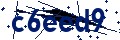Beveiligingscode