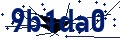 Beveiligingscode