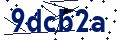 Beveiligingscode