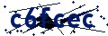 Beveiligingscode
