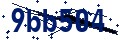 Beveiligingscode