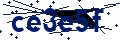 Beveiligingscode