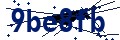 Beveiligingscode