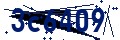 Beveiligingscode