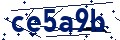 Beveiligingscode