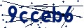 Beveiligingscode