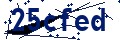 Beveiligingscode