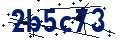 Beveiligingscode
