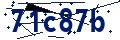 Beveiligingscode