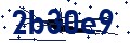 Beveiligingscode