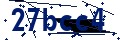 Beveiligingscode