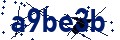 Beveiligingscode