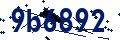 Beveiligingscode