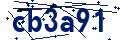 Beveiligingscode