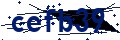 Beveiligingscode
