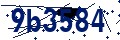 Beveiligingscode