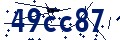 Beveiligingscode