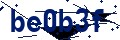 Beveiligingscode