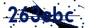 Beveiligingscode