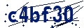 Beveiligingscode