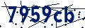 Beveiligingscode