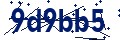 Beveiligingscode
