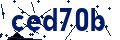 Beveiligingscode