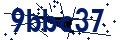 Beveiligingscode