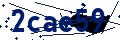 Beveiligingscode