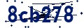 Beveiligingscode