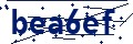 Beveiligingscode