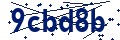 Beveiligingscode