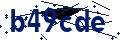 Beveiligingscode
