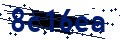 Beveiligingscode