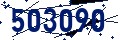 Beveiligingscode
