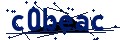 Beveiligingscode