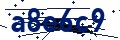 Beveiligingscode