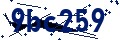 Beveiligingscode