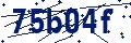 Beveiligingscode