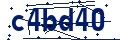 Beveiligingscode