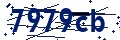 Beveiligingscode