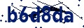 Beveiligingscode
