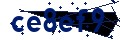 Beveiligingscode