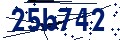 Beveiligingscode