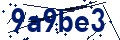 Beveiligingscode
